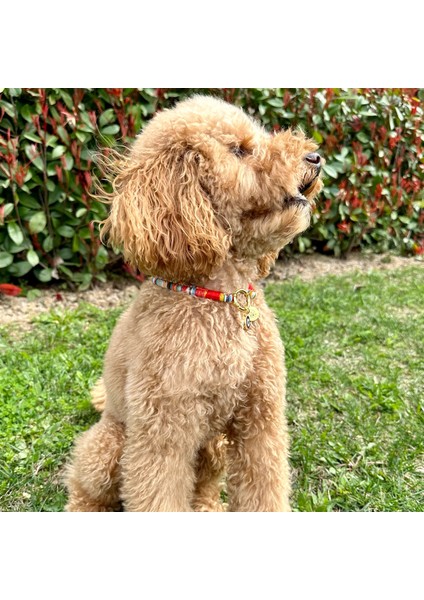 Jesspecial Mavi Ip Kedi Köpek Kolyesi Charm Uçlu