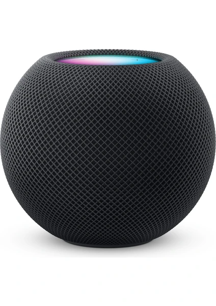 Homepod Mini - Uzay Grisi