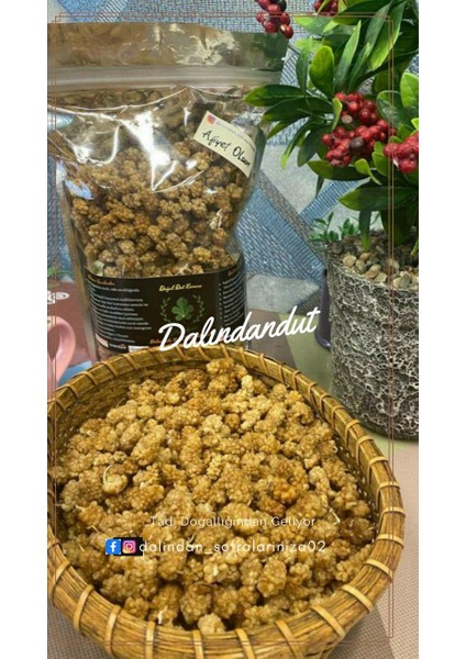 Yeni Mahsül Doğal Kurutulmuş Organik Dut Kurusu 250GR