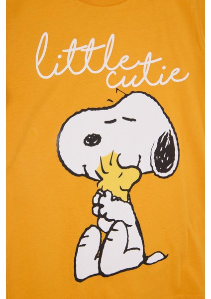 Lisanslı Erkek Çocuk 2'li Takım SN22010 modelleri