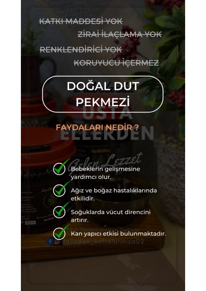 Yeni Mahsül Doğal Organik Dut Pekmezi 500GR (Katkısız)