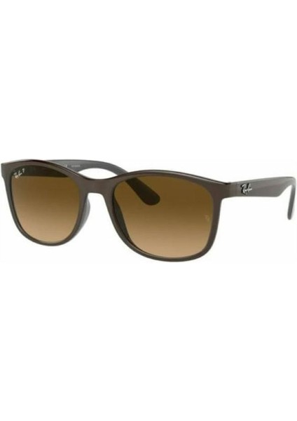 Rb 4374 6600/M2 56 Rayban Polarize Güneş Gözlüğü