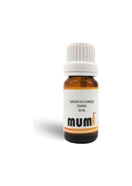 Premium Mum Esansı Soğuk Kış Güneşi 10 ml