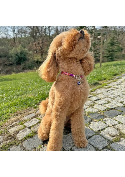 Jesspecial Mor Ip Kedi Köpek Kolyesi Charm Uçlu Gümüş Rengi