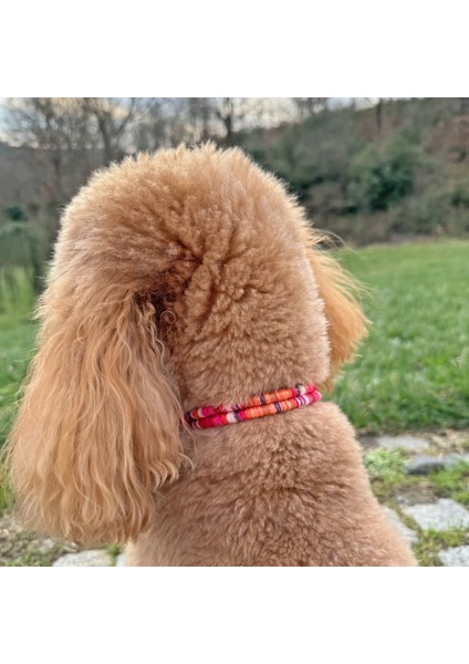 Jesspecial Kırmızı Ip Kedi Köpek Kolyesi Charm Uçlu Gümüş Rengi