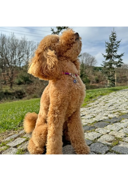 Jesspecial Mor Ip Kedi Köpek Kolyesi Charm Uçlu Gümüş Rengi