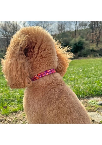 Jesspecial Mor Ip Kedi Köpek Kolyesi Charm Uçlu Gümüş Rengi