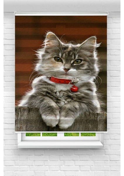 Çocuk Odası - Sevimli Kedi Baskılı Zebra PERDE04