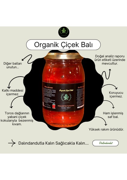 Yeni Mahsül Doğal Organik Çiçek Balı 500 gr