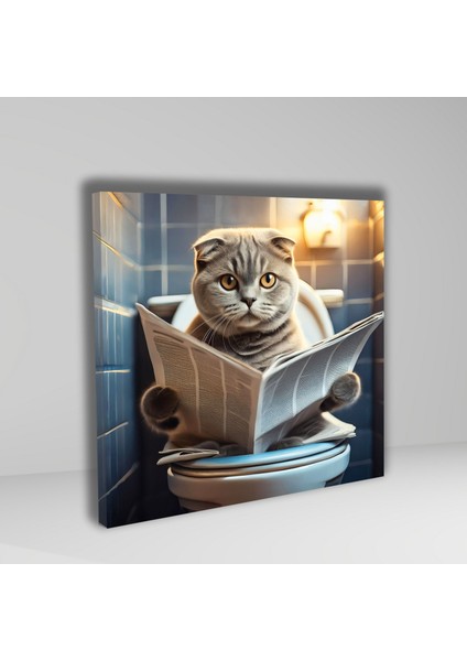 Tekli Kare Kanvas Banyo Tablosu Gazete Okuyan Scottish Fold