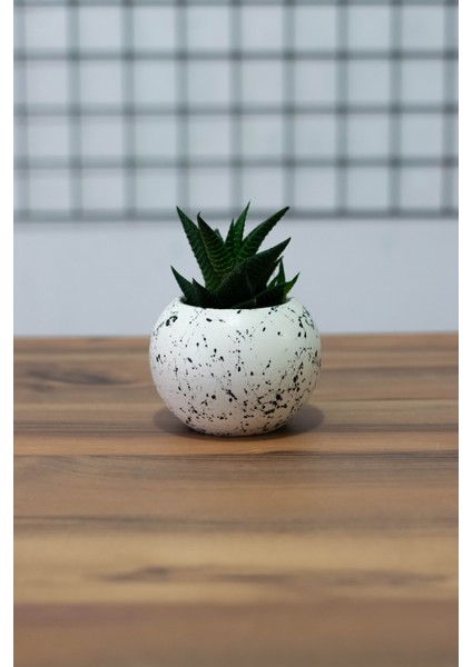 Ofis Seti Kalemlik Saksı Notluk Kaktüs modelleri