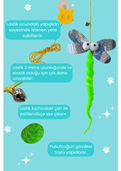 Pet Yusufcuk Kedi Egzersiz Oyuncağı