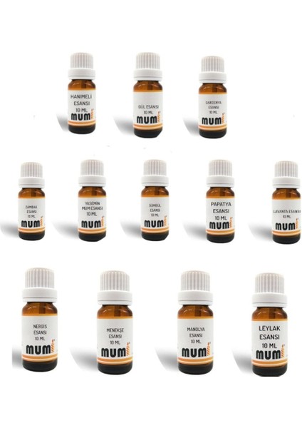 Mum Esansları Seti Bahar Çiçekleri 10 ml 12 Adet