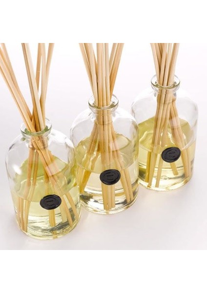 Mum Esansı Papaya 10 ml