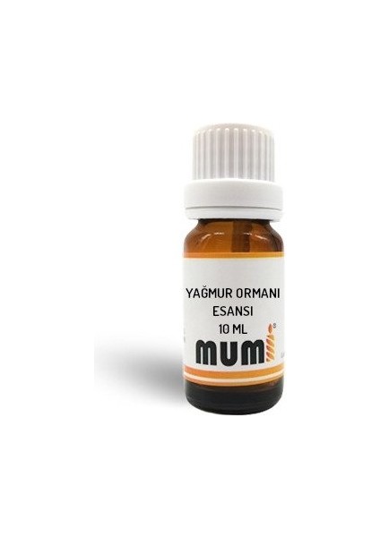 Mum Esansı Yağmur Ormanı 10 ml