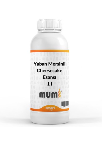 Mum Esansı Yaban Mersinli Cheesecake 1 lt