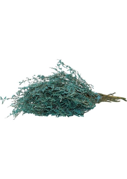 Kuru Çiçek Kurutulmuş Tatarika Mavi