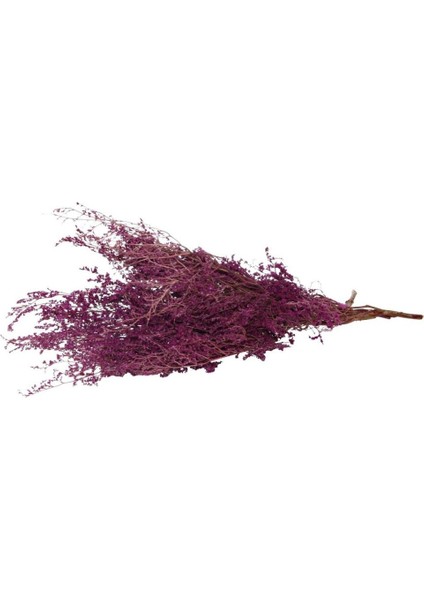 Kuru Çiçek Kurutulmuş Tatarika Lila