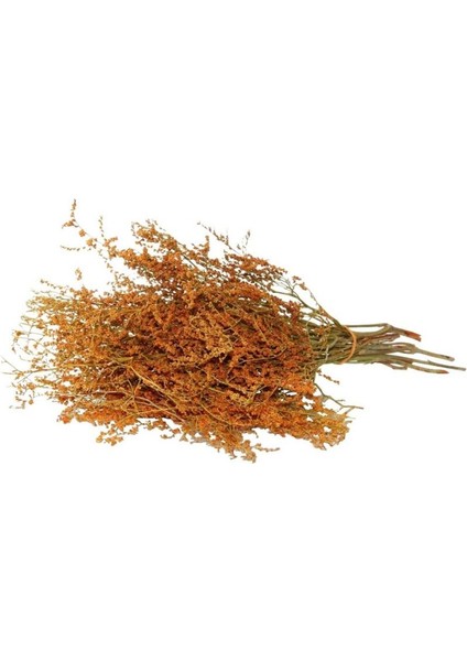Kuru Çiçek Kurutulmuş Tatarika Turuncu