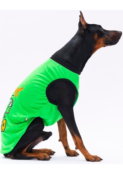 Green Travel Orta-Büyük Irk Köpek T-Shirtü fırsatları