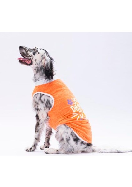 Orange Joy Orta-Büyük Irk Köpek T-Shirtü modelleri