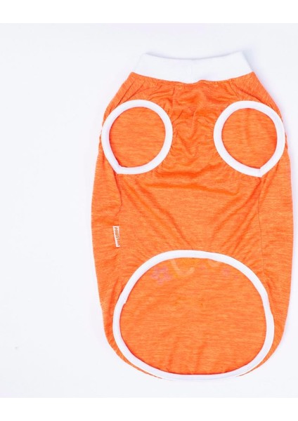 Orange Joy Orta-Büyük Irk Köpek T-Shirtü indirimleri