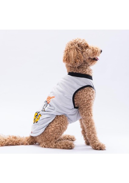 Grey Travel Orta-Büyük Irk Köpek T-Shirtü fırsatları