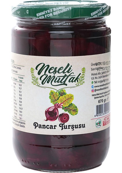 Pancar Turşusu 670 gr