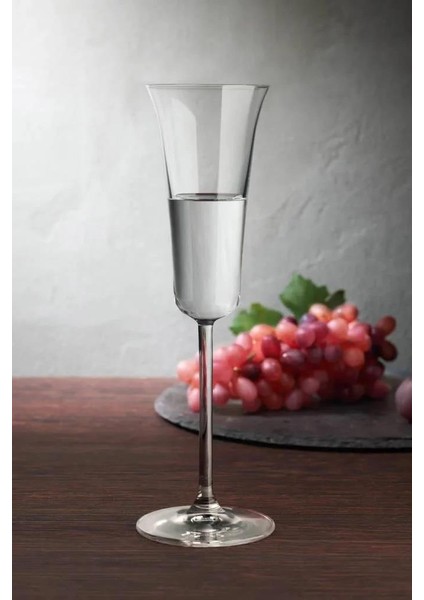 66111 Nude 2'li Vintage Flüt Şampanya Kadehi 110CC fiyatları