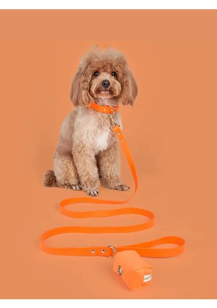 '' Çiko '' 3 Parça Köpek Tasması ve Gezdirme Seti - 1 Adet Rulo Dışkı Poşeti Hediyelidir fiyatları