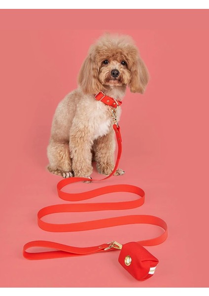 '' Çiko '' 3 Parça Köpek Tasması ve Gezdirme Seti - 1 Adet Rulo Dışkı Poşeti Hediyelidir fiyatları