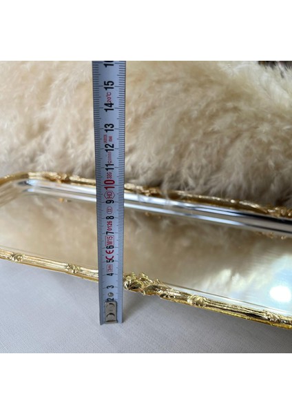 Gümüş Gold Baton Bordürlü Sunum Tepsi fırsatları
