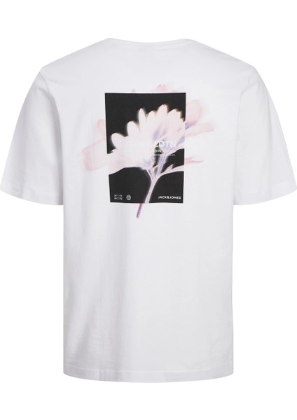 Jcostagger Tee Ss Crew Erkek T-Shirt fırsatları