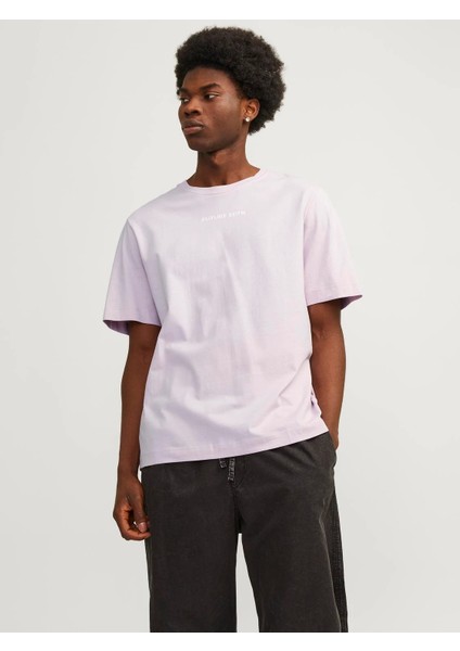 Jcostagger Tee Ss Crew Erkek T-Shirt
