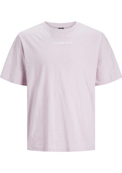 Jcostagger Tee Ss Crew Erkek T-Shirt modelleri