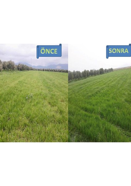 Hümaxsit /organik Ürün /leonardit Kaynaklı Sıvı Hümik Asit /toprak Düzenleyici