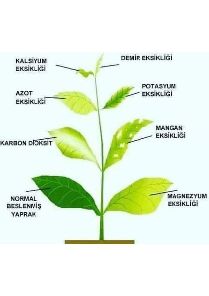 Hümaxsit /organik Ürün /leonardit Kaynaklı Sıvı Hümik Asit /toprak Düzenleyici