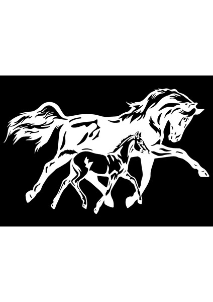 At ve Yavrusu Tip 1 (Oto-Motor-Laptop-Duvar-Dekor) 10 x 6 cm modelleri