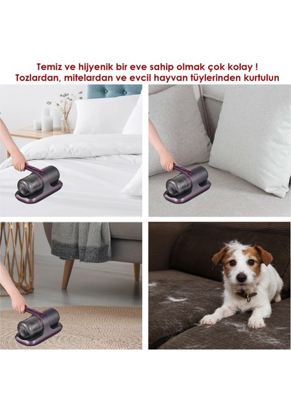 Şarjlı Şarjlı Uv-C Işınlı 100W Akar Temizleme El Süpürgesi Mor 0 - 250 Watt 0-250 L Dc 0 - 30 Dk 2