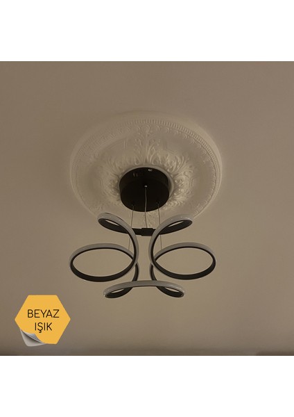 Begonya Siyah Modern Sarkıt Beyaz Ledli Avize