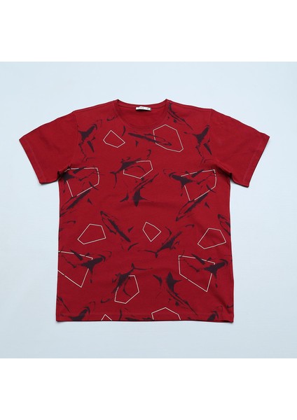 Erkek Çocuk Kısa Kollu Tişört - 1681420 - Bordo