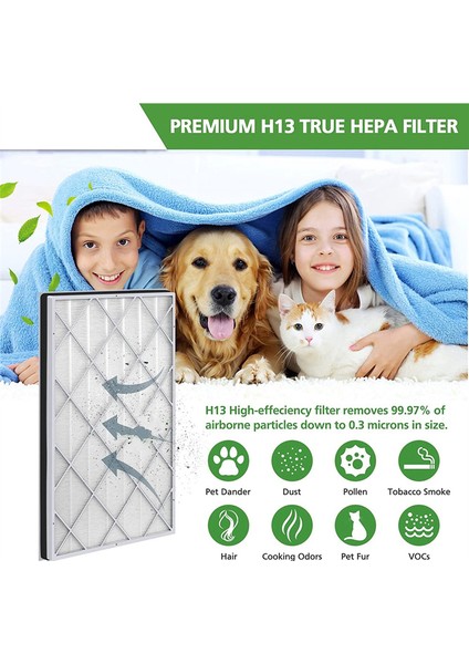 HE601 Hepa Hava Temizleme Cihazı Için Yedek Filtre 6 HE601 ve HE602, HE6FKPET, H13 Gerçek Hava Filtresinin Değiştirilmesi (Yurt Dışından)