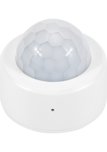 Hareket Vücut Sensörü Zigbee 3.0 Tuya Mini Akıllı Insan Hareketi Pır Dönüştürücü Akıllı Yaşam Ev Kablosuz Bağlantı Işığı (C) (Yurt Dışından) fiyatları