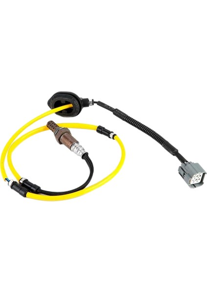 Accord 2.0l Cm5 2.4l 2003-2007 36532-RAC-U01 36532-RAC-U02 Için Araç Oksijen Sensörü (Yurt Dışından)