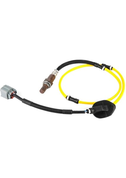 Accord 2.0l Cm5 2.4l 2003-2007 36532-RAC-U01 36532-RAC-U02 Için Araç Oksijen Sensörü (Yurt Dışından) modelleri