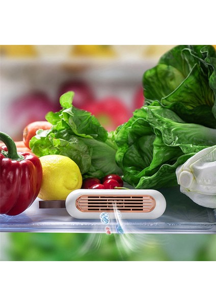 Araba Gardırop Tuvalet Için Buzdolabı Arıtma Ev Taşınabilir Iyon ve Koku Giderme (Yurt Dışından)