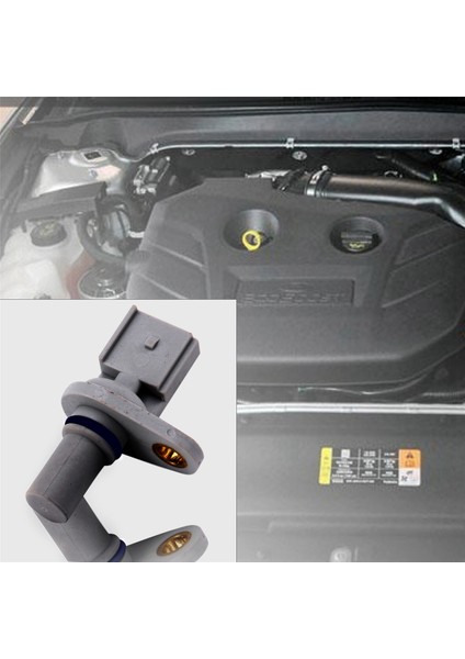 x 6C11-12K073-AA Için Transit Bus Box Mondeo Için Eksantrik Mili Konum Sensörü (Yurt Dışından)