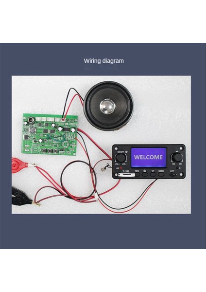2x TPM118B Dijital Ses Çalar Mp3 Dekoder Kartı Yüksek Kaliteli Taşınabilir Mp3 Çalar Modülü Bluetooth ve Fm Radyo ile (Yurt Dışından)