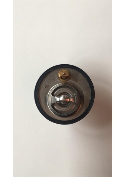 Termostat E2200 97-99/besta 86-98 (88 Derece)