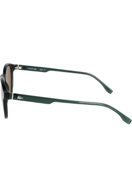 L 6030S 301 50 Unisex Oval Yeşil Kemik Güneş Gözlüğü modelleri